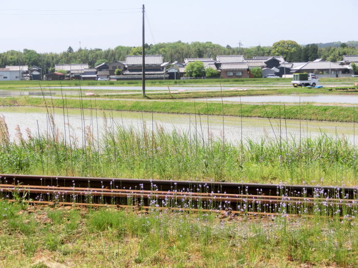 田植え時の伊賀の線路風景